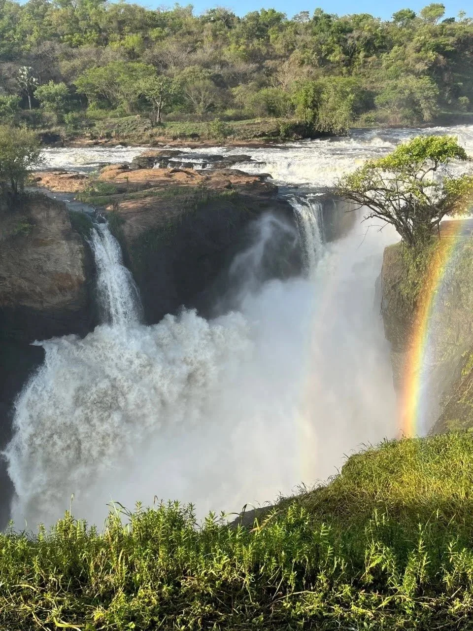 Safari to the Pearl of East Africa